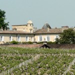 Lafite vineyards