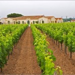 chateau petrus chateau petrus