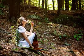 ambiente, cibo e sostenibilità ambiente, cibo e sostenibilità