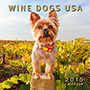 Wine dogs USA Wine dogs USA