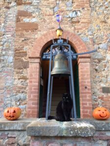 Fattoria del Colle gatto nero Nerone Fattoria del Colle gatto nero Nerone