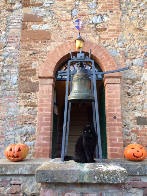 Fattoria del Colle gatto nero Nerone
