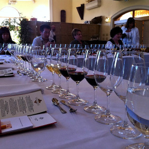 wine-class-glasses wine-class-glasses