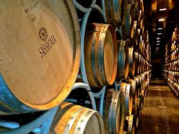 Sassicaia cantina