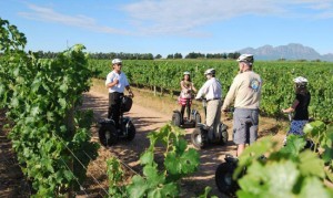 Spier Wine Farm
