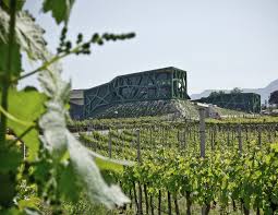 Cantina Tramin Termeno