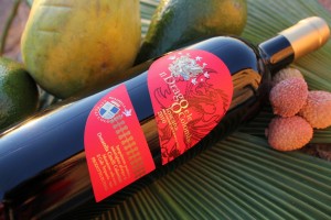 Drago 2010 orizzontale
