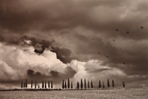 Duccio Nacci, Vincitore 2010