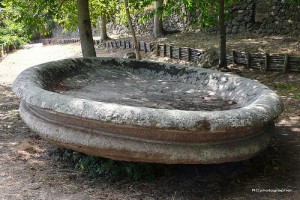 Piatto delle streghe