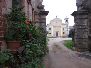 Cittanova Croazia DAILA