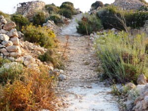 Gozo Quala sentiero vicino al paese