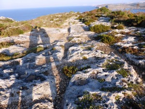 Gozo collina di Hondoq zazzi