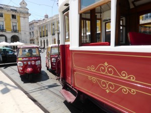 Lisbona apini e bus elettrici per i turisti