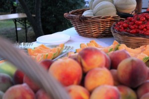 Nannoni festa 2015 frutta