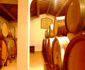 Montalcino Casato Prime Donne bottaia