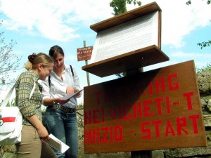 Trekking nei vigneti Fattoria del Colle
