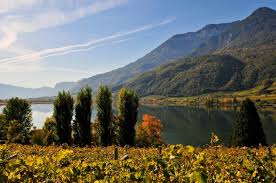 Alto Adige Vineyards Alto Adige vineyards