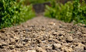 Minerality