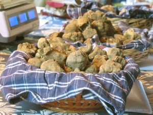 Vendita di tartufo bianco alla Mostra Mercato