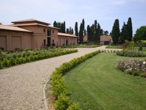 Cantina Sassicaia