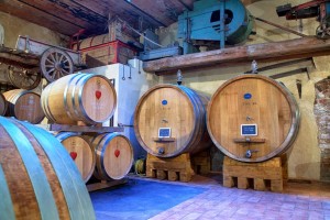 Fattoria del Colle cantina