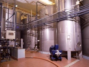 mosto-concentrato1
