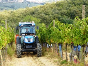 donne sul trattore alla Fattoria del Colle