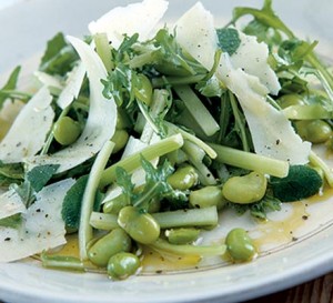 fave e pecorino