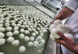mozzarella produzione