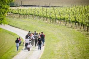 passeggiataFranciacortaEnoturismo