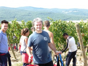 2015 harvest Casato Prime Donne Montalcino