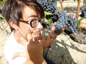 2015 harvest Violante Gardini awaits the 5 stars