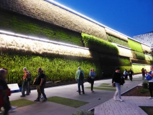 campo verticale Expo Israele