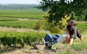 turismo nei vigneti