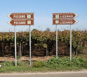 segnali delle cantine