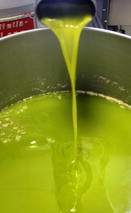 Olio extravergine 2015 Fattoria del Colle Toscana
