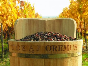 Oremus Tokaj