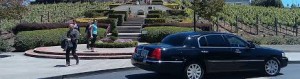 wine tour in limousine