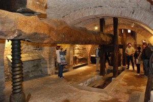 muvit-museo-del-vino-300x201
