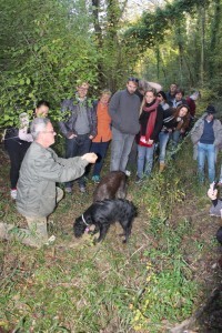 Truffle hunting with tourists