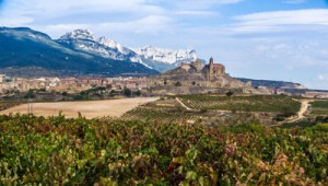 Vega Sicilia vinedo_vs_rioja