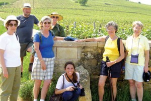 arblaster-and-clarke-wine-tours-image