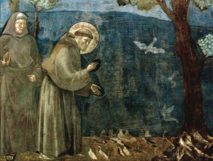 Giotto San Francesco Assisi