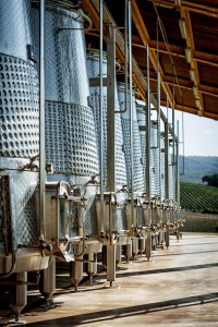 Montalcino Casato Prime Donne Tinaia del vento
