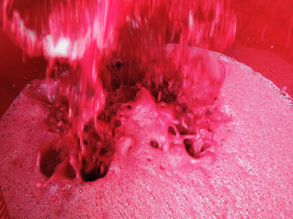 mosto di futuro Brunello
