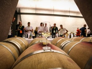 Turisti del vino in cantina