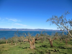 Lago-Trasimeno