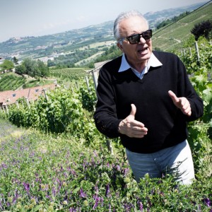 Angelo-Gaja