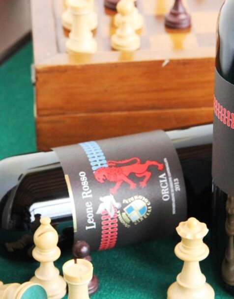 Leone Rosso 2013 - Orcia DOC - Donatella Cinelli Colombini