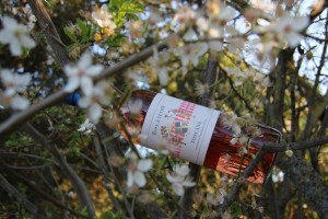Rosato Donatella Cinelli Colombini